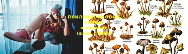 кокаин Магадан