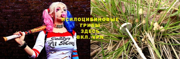 прущий лед Майский