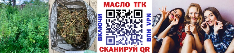 Купить где  Далматово  ТГК вейп 