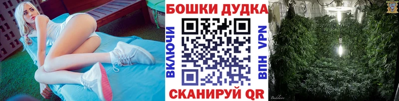Купить  Далматово  Шишки марихуана VHQ 